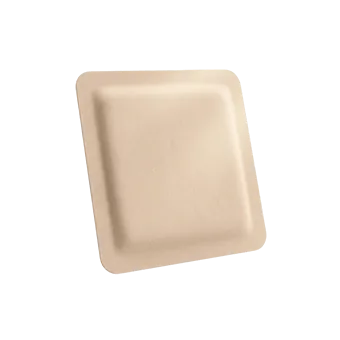 Estrogen patch — compared to Oestra vaginal cream for menopause hormone absorption