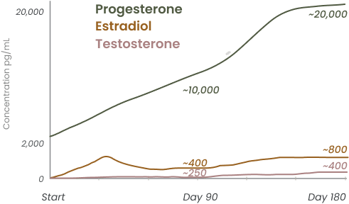 hormone_balance_graph